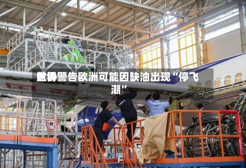 世界航协警告欧洲可能因缺油出现“停飞潮	”-第2张图片