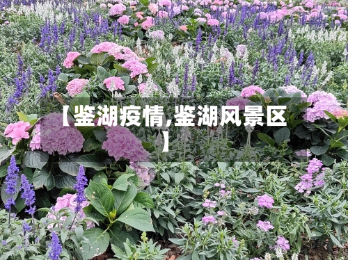 【鉴湖疫情,鉴湖风景区】