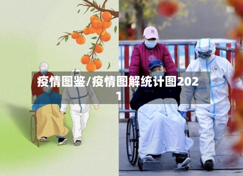 疫情图鉴/疫情图解统计图2021-第3张图片