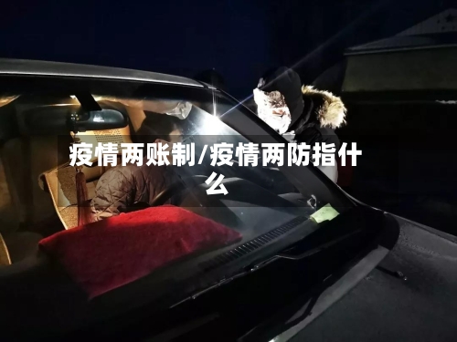 疫情两账制/疫情两防指什么-第2张图片