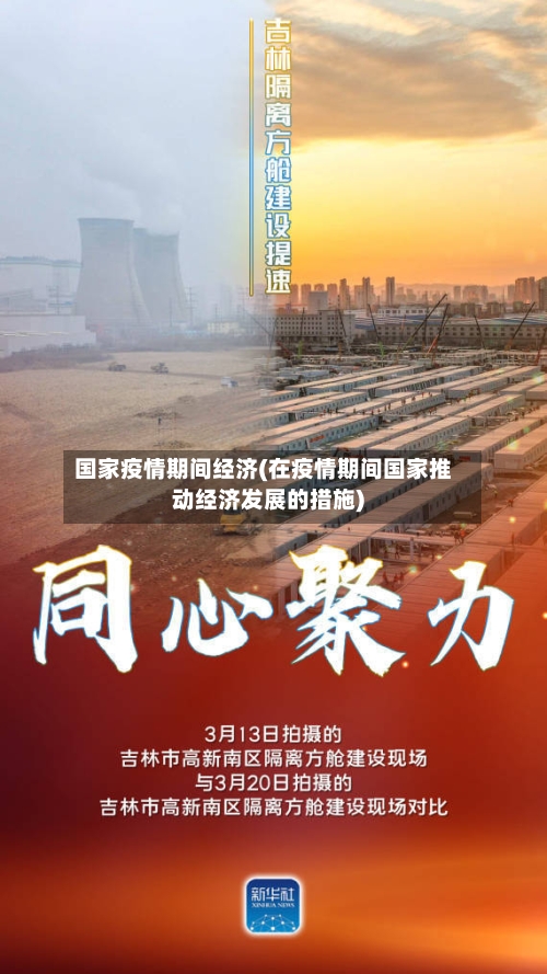 国家疫情期间经济(在疫情期间国家推动经济发展的措施)