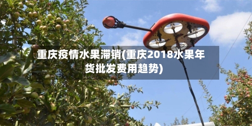 重庆疫情水果滞销(重庆2018水果年货批发费用趋势)