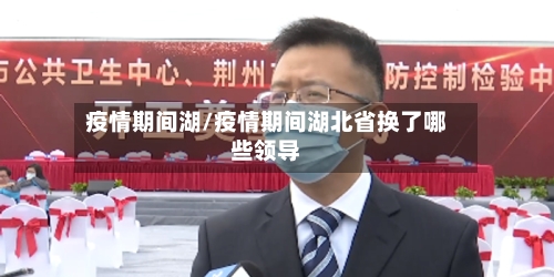疫情期间湖/疫情期间湖北省换了哪些领导-第2张图片