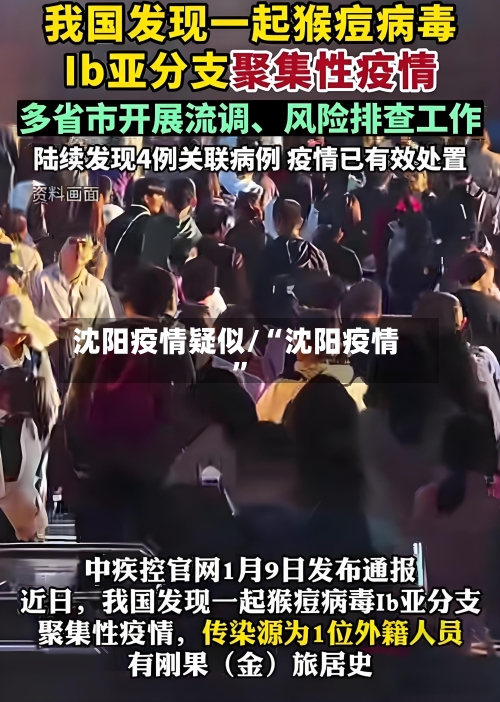 沈阳疫情疑似/“沈阳疫情”-第3张图片