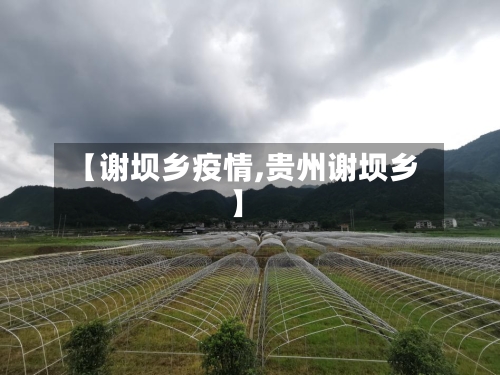 【谢坝乡疫情,贵州谢坝乡】