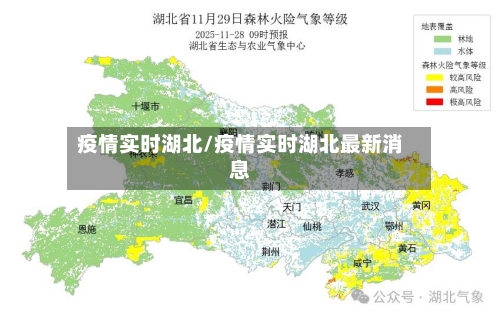 疫情实时湖北/疫情实时湖北最新消息