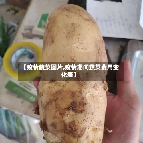 【疫情蔬菜图片,疫情期间蔬菜费用变化表】