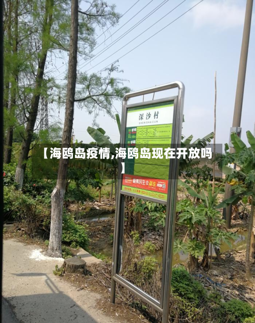 【海鸥岛疫情,海鸥岛现在开放吗】-第3张图片
