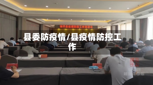 县委防疫情/县疫情防控工作