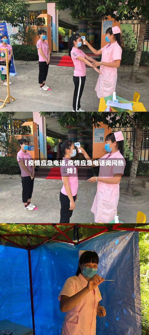【疫情应急电话,疫情应急电话询问热线】-第3张图片