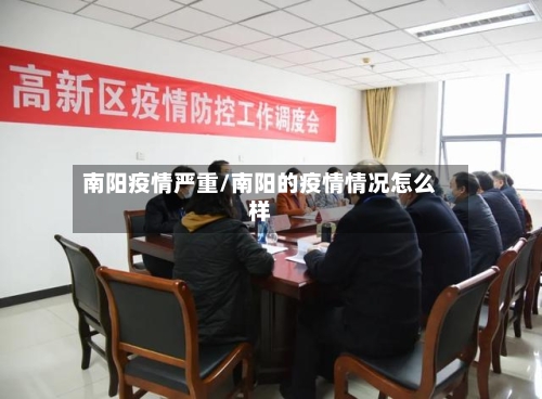 南阳疫情严重/南阳的疫情情况怎么样