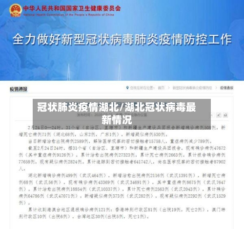 冠状肺炎疫情湖北/湖北冠状病毒最新情况