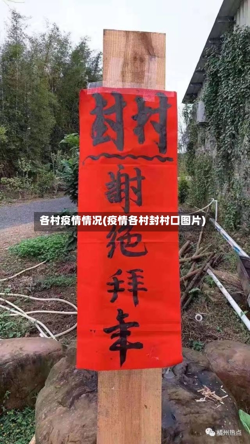 各村疫情情况(疫情各村封村口图片)