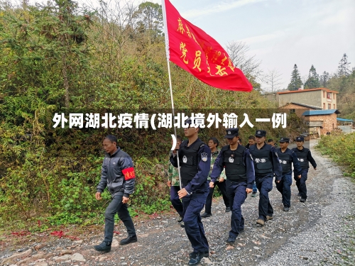 外网湖北疫情(湖北境外输入一例)