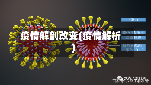 疫情解剖改变(疫情解析)