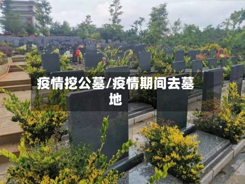 疫情挖公墓/疫情期间去墓地