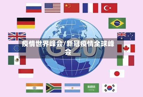 疫情世界峰会/新冠疫情全球峰会