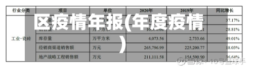 区疫情年报(年度疫情)
