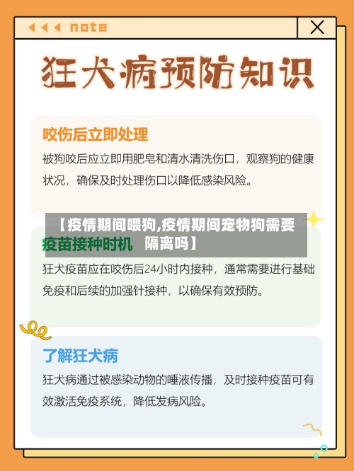 【疫情期间喂狗,疫情期间宠物狗需要隔离吗】