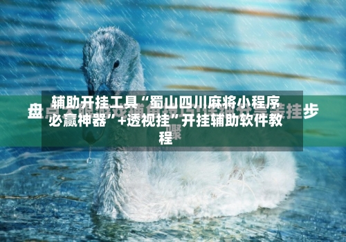 辅助开挂工具“蜀山四川麻将小程序必赢神器”+透视挂”开挂辅助软件教程
