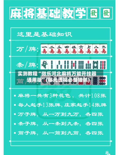 实测教程“微乐河北麻将万能开挂器通用版”(曝光透视必备猫腻)