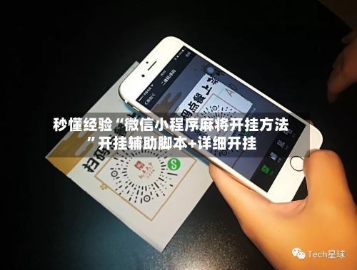 秒懂经验“微信小程序麻将开挂方法”开挂辅助脚本+详细开挂