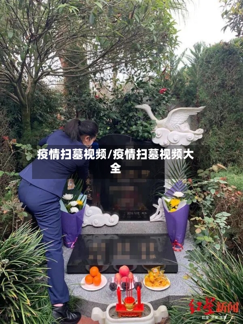 疫情扫墓视频/疫情扫墓视频大全