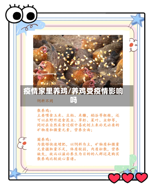 疫情家里养鸡/养鸡受疫情影响吗