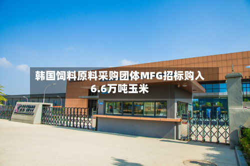 韩国饲料原料采购团体MFG招标购入6.6万吨玉米