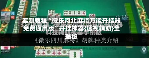 实测教程“微乐河北麻将万能开挂器免费通用版”开挂神器{透视辅助}全揭秘