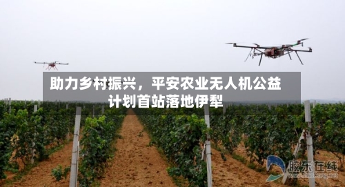 助力乡村振兴,平安农业无人机公益计划首站落地伊犁