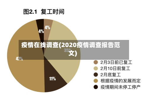疫情在线调查(2020疫情调查报告范文)
