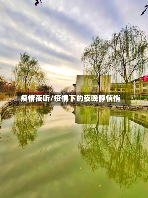 疫情夜听/疫情下的夜晚静悄悄