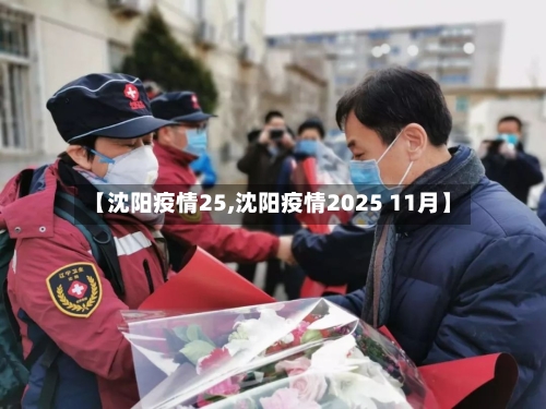 【沈阳疫情25,沈阳疫情2025 11月】