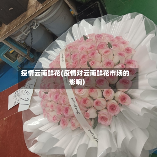 疫情云南鲜花(疫情对云南鲜花市场的影响)