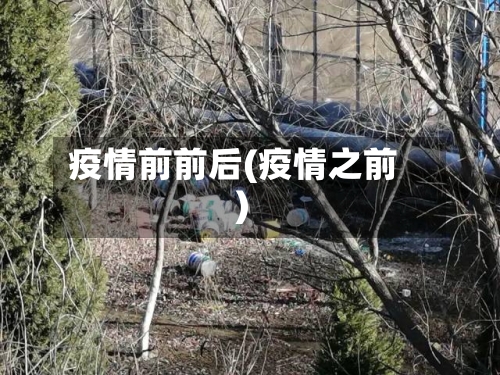 疫情前前后(疫情之前)