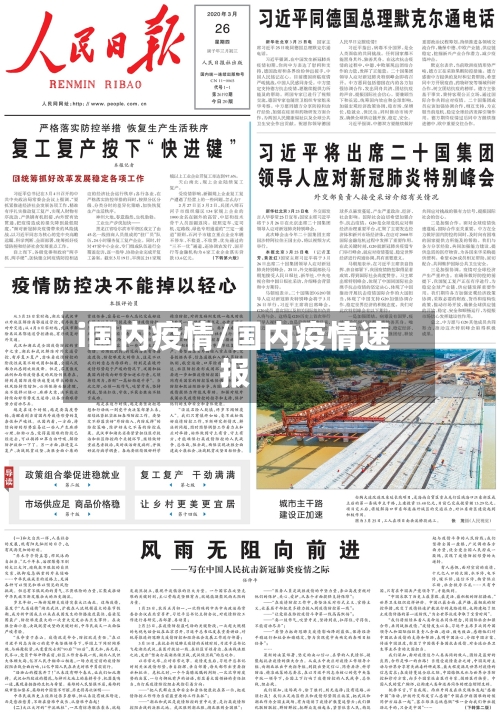 i国内疫情/国内疫情速报