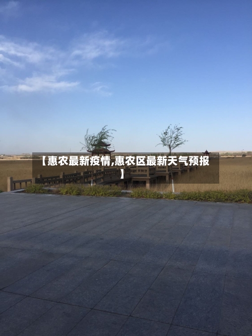 【惠农最新疫情,惠农区最新天气预报】