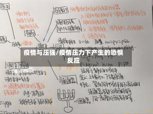 疫情与压强/疫情压力下产生的恐惧反应