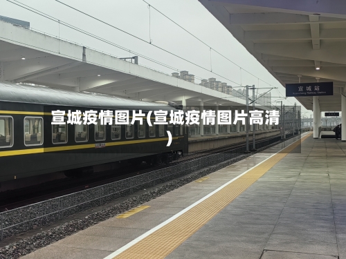 宣城疫情图片(宣城疫情图片高清)