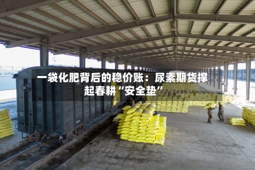 一袋化肥背后的稳价账：尿素期货撑起春耕“安全垫”
