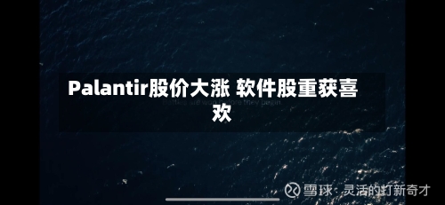 Palantir股价大涨 软件股重获喜欢