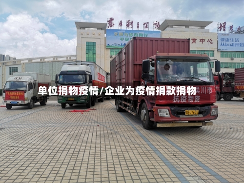 单位捐物疫情/企业为疫情捐款捐物
