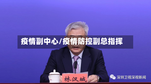 疫情副中心/疫情防控副总指挥
