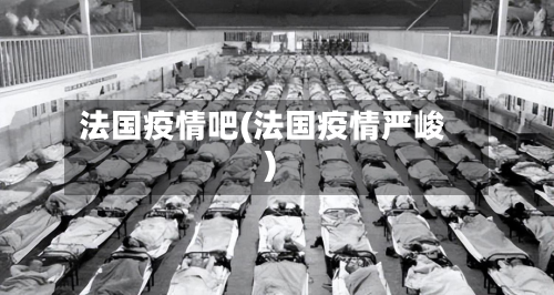 法国疫情吧(法国疫情严峻)