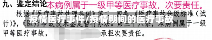 疫情医疗事件/疫情期间的医疗事故