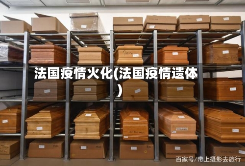 法国疫情火化(法国疫情遗体)