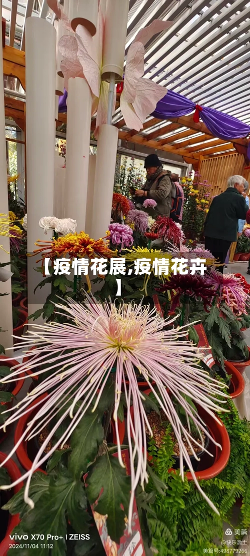 【疫情花展,疫情花卉】