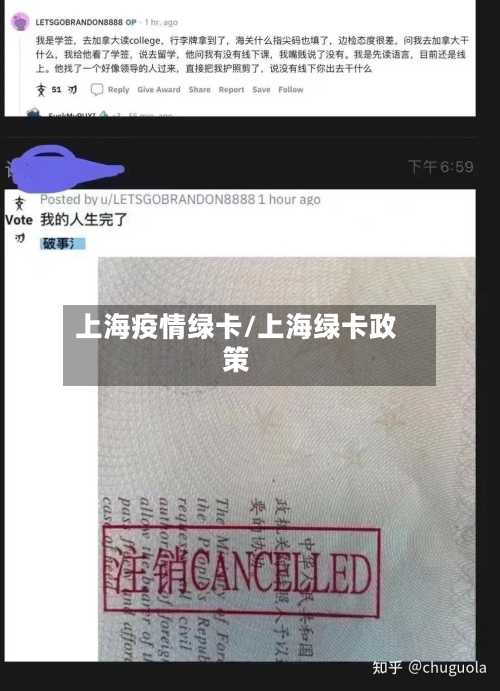 上海疫情绿卡/上海绿卡政策