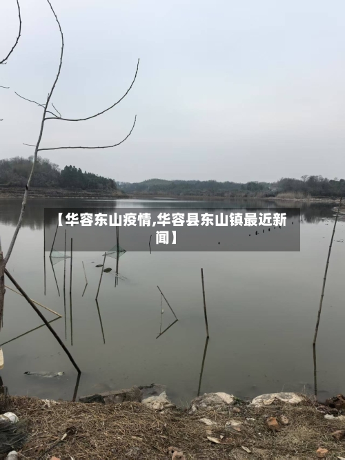 【华容东山疫情,华容县东山镇最近新闻】
